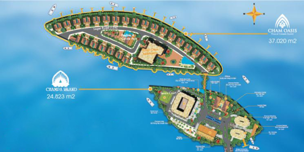 tongquanchamoasisjpg-1383823811